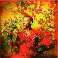 Gail Ann Dorsey – I Used to Be