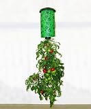 Topsy Turvy Tomato Planter