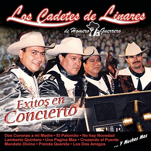 Exitos en Concierto