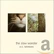 The Slow Wonder