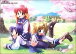 はるのあしおと DVD初回特典版