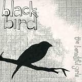 album art to Black Bird