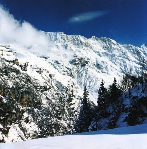 Moloko - The Id Lyrics - Zortam Music