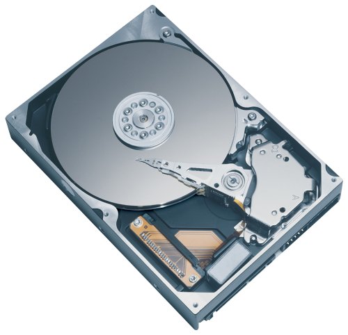 MP3 Player: Maxtor 160 GB 6Y160P0 UDMA133 7.200 rpm 8 MB Cache Festplatte IDE Bulk