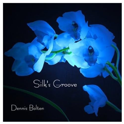 Silk's Groove