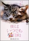 大自然ライブラリー 街はいつでも猫日和~東京ネコ物語~ 飯島正広