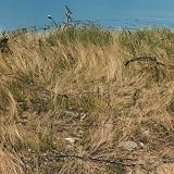 EP C by Battles