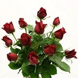 Valentine's Day Gift