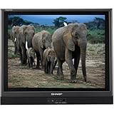 Sharp LC-20S1UB 20" AQUOS Flat-Panel EDTV-Ready LCD TV (Black)
