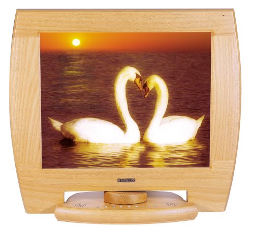 Festplatten: SWEDX XV1-19AV-BE1 Swedx 19" TFT LCD Monitor, Buche