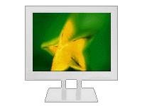 Navigationssysteme: IBM T210 Wei� Monitor LCD-TFT 21.0' 2048 x 1536 MPRIIIA Weiss