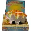 Aquarium Clam