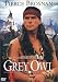 E Bibliotheque.com : Grey Owl