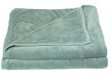 Martex Grand Patrician Raschel Microfiber Full/Queen Blanket, Sage