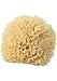 H2O Plus Natural Sea Sponge