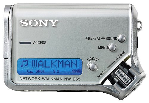 Festplatten: Sony NW-E55 Tragbarer MP3-Player 128 MB silber