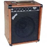 Pignose G40V Tube Amp