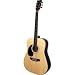 Rogue RA-100D Dreadnought Guitar, Natural