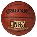 NBA Indoor/Outdoor Official Basketball