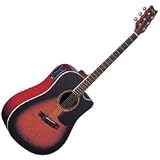 Washburn D10CEQ Quilted Acoustic-Electric Guitar, Sunburst
