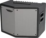 Motion Sound KP200S Keyboard Amplifier