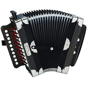 Hohner D40 Concertina