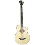 JB Player Acoustic-Electric 5 String Bass