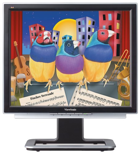 Verst&auml;rker und Receiver: Viewsonic VX910 19 Zoll TFT-Monitor
