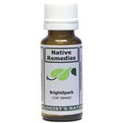 BrightSpark for ADD and ADHD