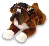 Harley Davidson Boxer Revolution Dog