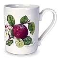 Portmeirion Pomona Earthenware Mug