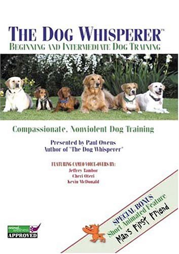 The Dog Whisperer: Beginning and Intermediate Dog Training