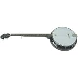 5 String Banjo, 18 brackets, laminated rim