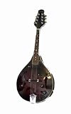 Santa Rosa Electric Mandolin