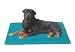 Designer Dog Bed : Canine Cooler Thermoregulating Pet Bed 18