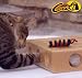 Cat Toy Item : SmartCat Peek-a-Prize Toy Box : Extra Toys JJINGLES (1), EERASERS (2), BALLS (3)