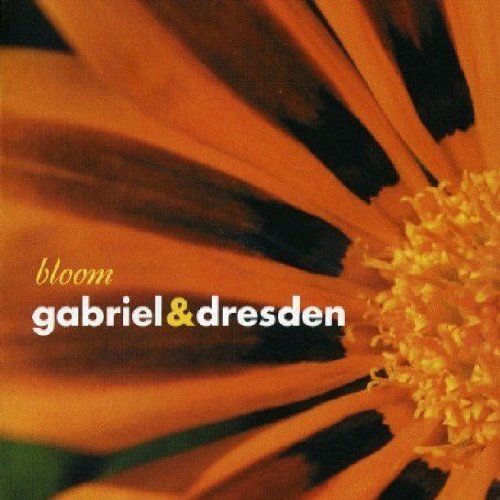 Bloom by Gabriel & Dresden album cover