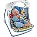 Deluxe Take-Along Swing