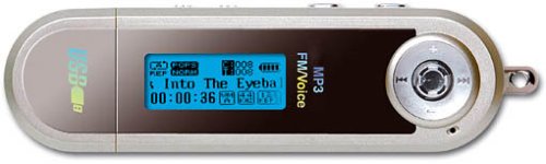 Computerzubeh&ouml;r: Xuke MP-500 Tragbarer MP3-Player 256 MB silber