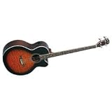 Brownsville ABG-2CRBS Acoustic/Electric Bass