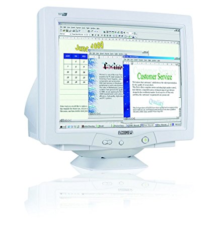 Projektoren: Philips 107E60 17 Zoll CRT Monitor