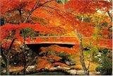 1000ピース 紅葉谷公園 RS-13-235