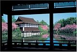 1000�s�[�X �����_�{