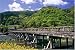 1000ピース 菜の花咲く嵐山 10-516S