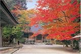 1000ピース 紅葉の中尊寺 10-581S