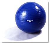 ALINCO �G�N�T�T�C�Y�{�[�� EX-017 65cm