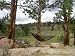 Sporting Goods : Camouflage Travel Hammock with FREE hanging kit