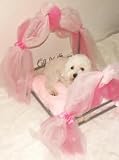 Fancy Dog Bed : Personalized Princess Iron Bed (Size Large)