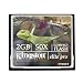 Kingston CF/2GB-S 2 GB ElitePro CompactFlash Card (Retail Package)