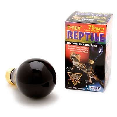 T-Rex Black Heat Lamp 25 Watts